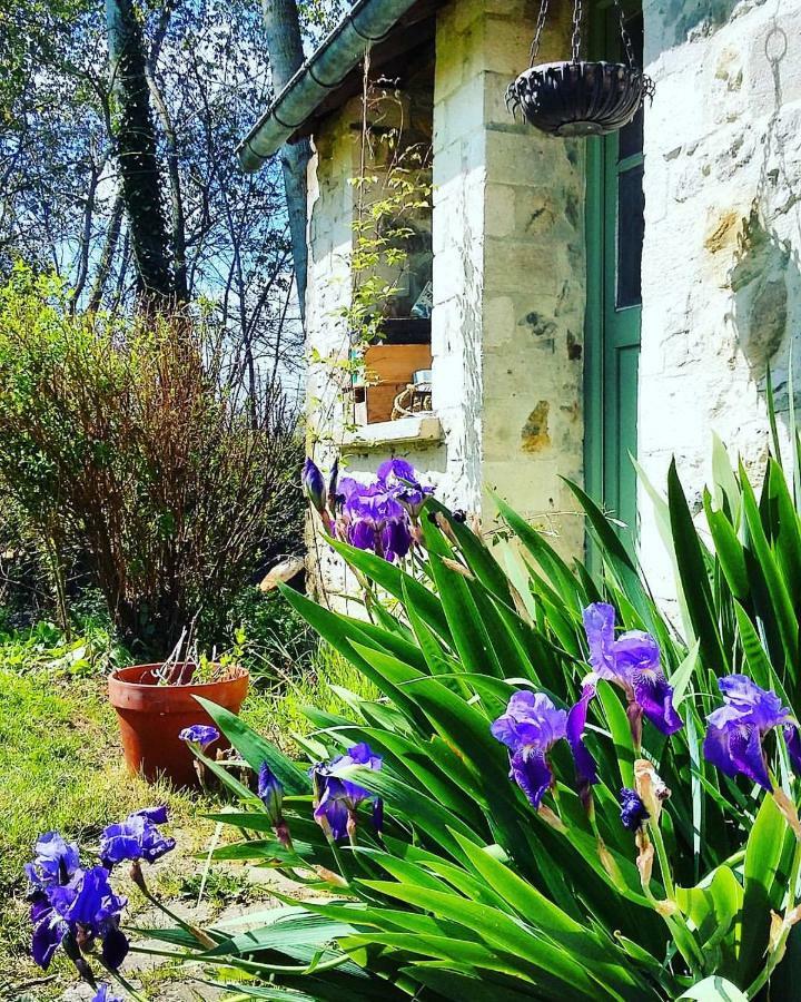 Les Chambres De Capucine Carcagny Dış mekan fotoğraf